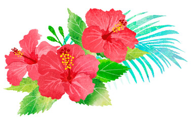 ハイビスカスの花　夏　手描きイラスト　南国イメージ © M