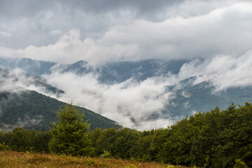 Foggy Mountain Landscape With Rolling Clouds Over Lush Greenery. Borzhava range during summer. Carpathian mountains, Ukraine