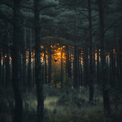 Bird in the forest at dusk