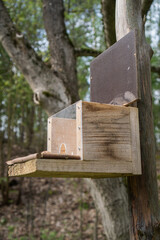 Futterhaus für Eichhörnchen und Vögel aus Holz mit Deckel zum Klappen / Konzept: Kleintiere und Wildtiere im Garten füttern