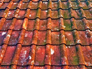 the tile roof is mossy because it is old