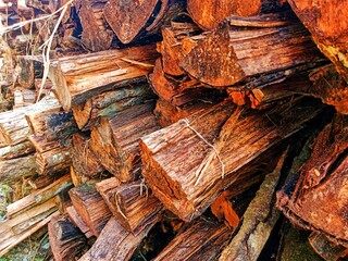 photo of a pile of dry firewood