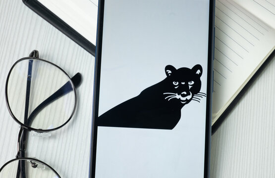 New York, USA - 30 June 2024: Supermax Logo on Phone Screen, Company Icon