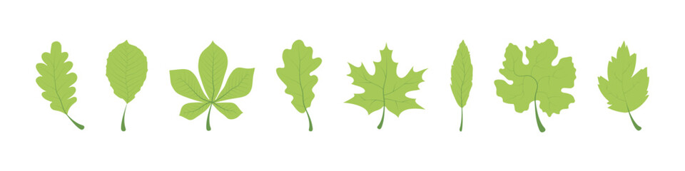 Green Leaf. Green Leaves vector icons. Leaf in different shapes. Leaf icon. Leaves vector icons