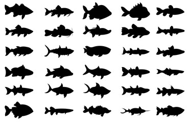 Fish silhouette icon collectionえ
