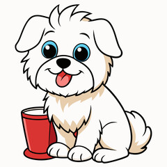 maltese dog drinking on white background