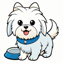 maltese dog drinking on white background