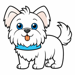 maltese dog drinking on white background