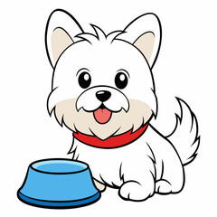 maltese dog drinking on white background