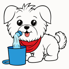 maltese dog drinking on white background