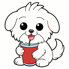 maltese dog drinking on white background