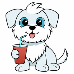 maltese dog drinking on white background