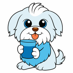 maltese dog drinking on white background