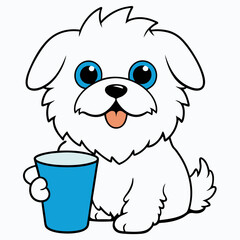 maltese dog drinking on white background