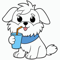 maltese dog drinking on white background