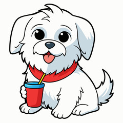 maltese dog drinking on white background