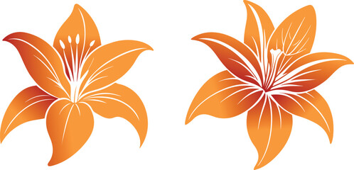 Lily flower vector art illustration