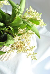 bouquet of snowdrops,white hat and flowerson a white background 