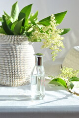 white hat and flowerson a white background 