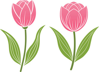 Tulip flower vector art illustration