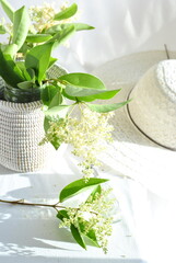 white hat and flowerson a white background 