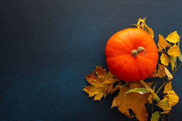 Autumn time, various pumpkins and fallen leaves on a dark blue background, fall harvest