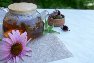 A glass teapot of herbal tea from echinacea used in alternative medicine a an immune system booster. Side view, space for text. 