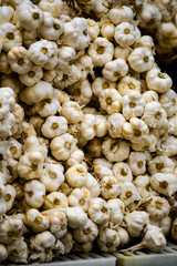  a large quantity of freshly harvested garlic