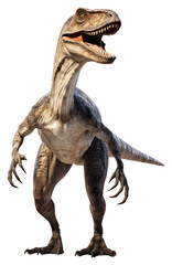 Fototapeta premium PNG Velociraptor dinosaur reptile animal.
