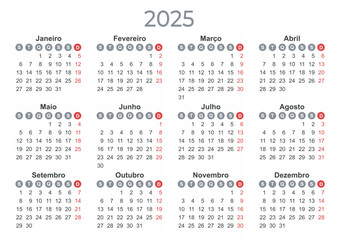 Calendar 2025 Year mockup. Portuguese version. Annual horizontal template with round days of the week. Modern design. Editable format. EPS10.