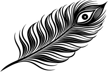 Obraz premium peacock feather black silhouette vector white background