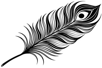peacock feather black silhouette vector white background