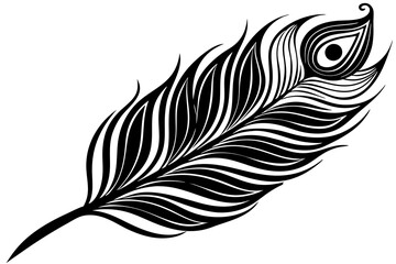 Obraz premium peacock feather black silhouette vector white background