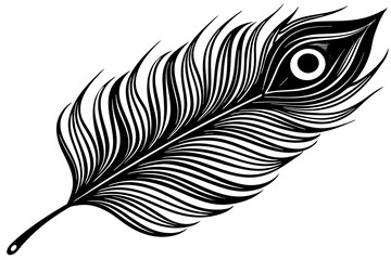 peacock feather black silhouette vector white background