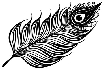 peacock feather black silhouette vector white background