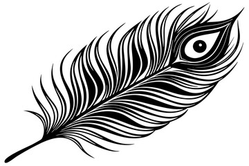 minimalistic black and white peacock feather