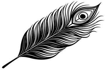 minimalistic black and white peacock feather © Trendy CraftSVG 