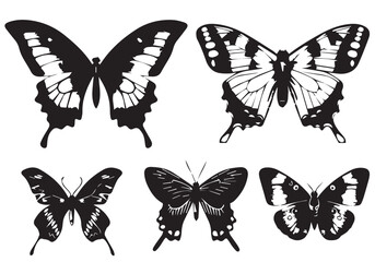 Floral butterfly silhouette set. Vector monochrome illustration isolated on white background. Various moths with flower wings.