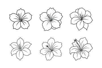 Obraz premium flower eps bundle