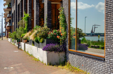 Rotterdam, The Netherlands, June 19, 2024: lush vegetation in the sidewalk gardens of a new neighbourhood at Lloyd Pier, with a relfection on the river and harbour in a window