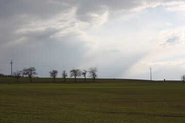 clouds over the field