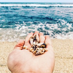 Holding some stones and shells in hand