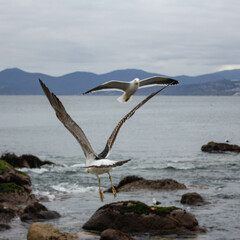 Sometimes taking off to another place on the beach