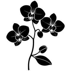 Graceful Orchid Stem Silhouette vector illustration  Creative Designs