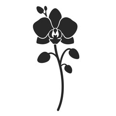 orchid with leaves. Flower silhouette.