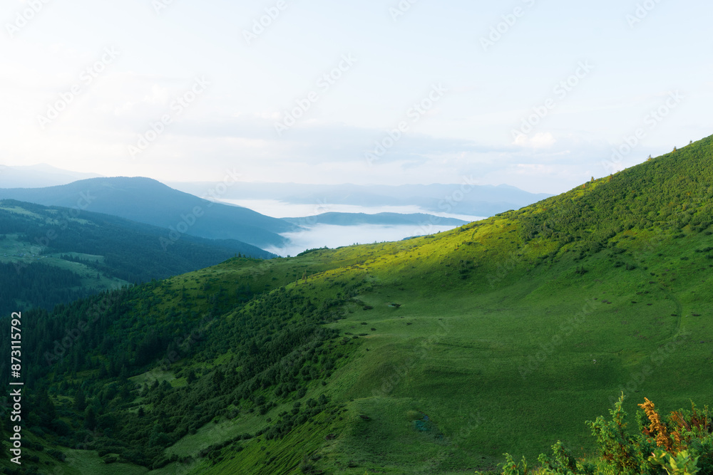 Wall mural landscape sky forest in the mountains on a sunny summer day mountain silhouettes, fog, wallpaper, po