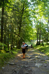 Obraz premium female tourist with a big backpack walks in the forest, tourism, hiking, active recreation, walks in the fresh air, weekends