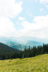 landscape sky forest in the mountains on a sunny summer day mountain silhouettes, fog, wallpaper, poster, cover, nature of the Carpathian mountains, green, natural beauty, vacation, outdoor activities