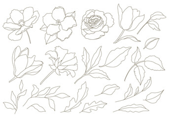 Collection of minimal delicate hand drawn flowers, leaves and branches in line art style. Trendy vector botanical sketch on white background