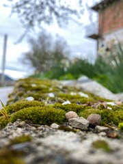 old stone wall with moss